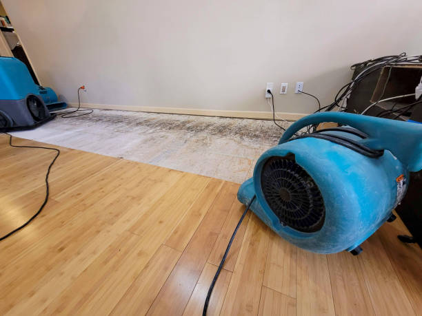 Professional Water Damage Repair technician working in Faith, NC